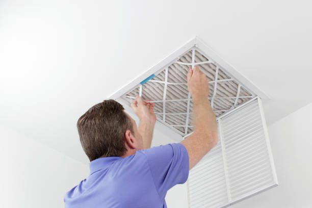 Best Emergency Air Duct Cleaning  in Daleville, VA